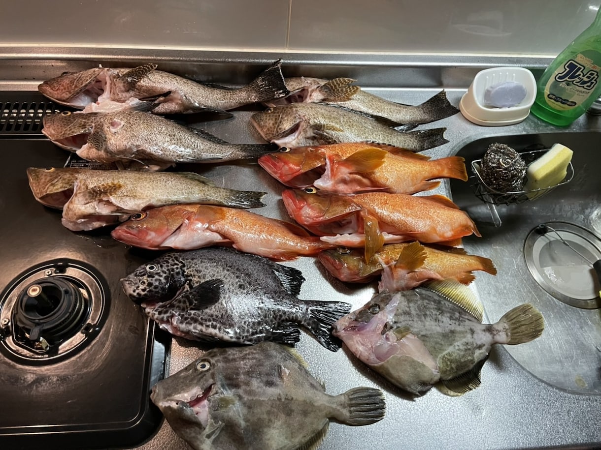 初めての魚突きをゼロからサポートします 経験者が安全な始め方と道具選びを丁寧にサポート イメージ3