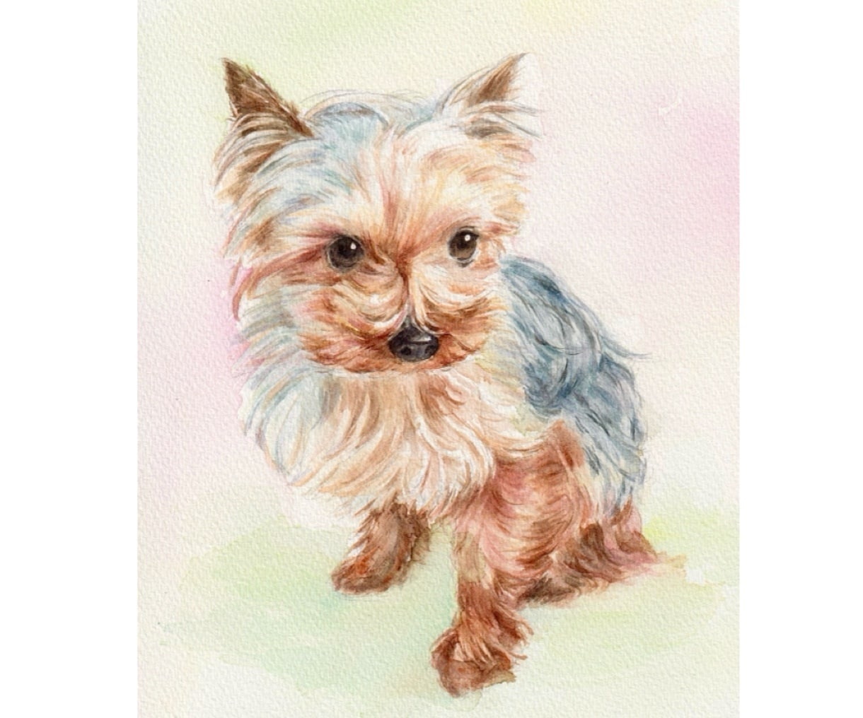 ペット似顔絵　手描きの水彩画で優しく描きます 犬・猫その他ペット全般の似顔絵/プレゼントにもオススメ◎ イメージ4