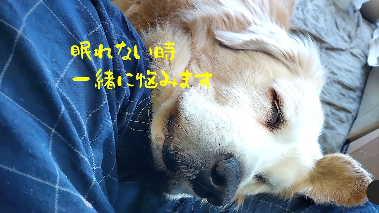 眠れない時一緒に悩みます わたしも苦労しました。一緒に考えましょう イメージ1