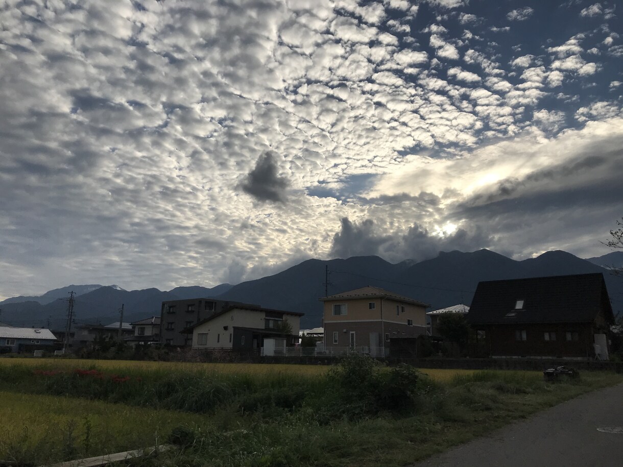 同じ経験者、立場だからわかります 障害、鬱病、摂食障害、いじめなどでお悩みな方へ イメージ1