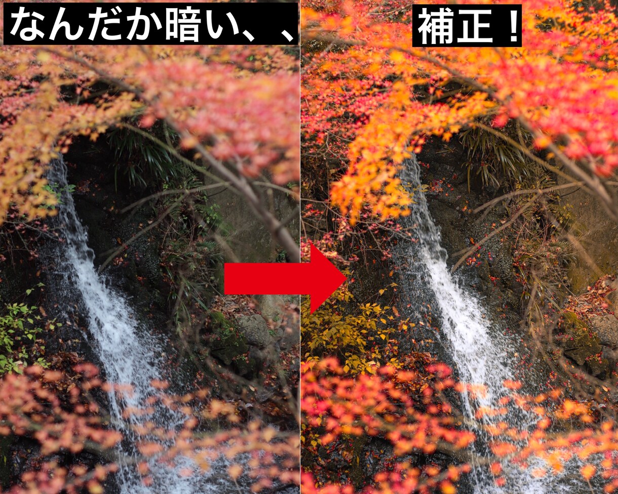写真の色合いを綺麗にします 色合いを変えて周りのアカウントと圧倒的な差を！ イメージ3