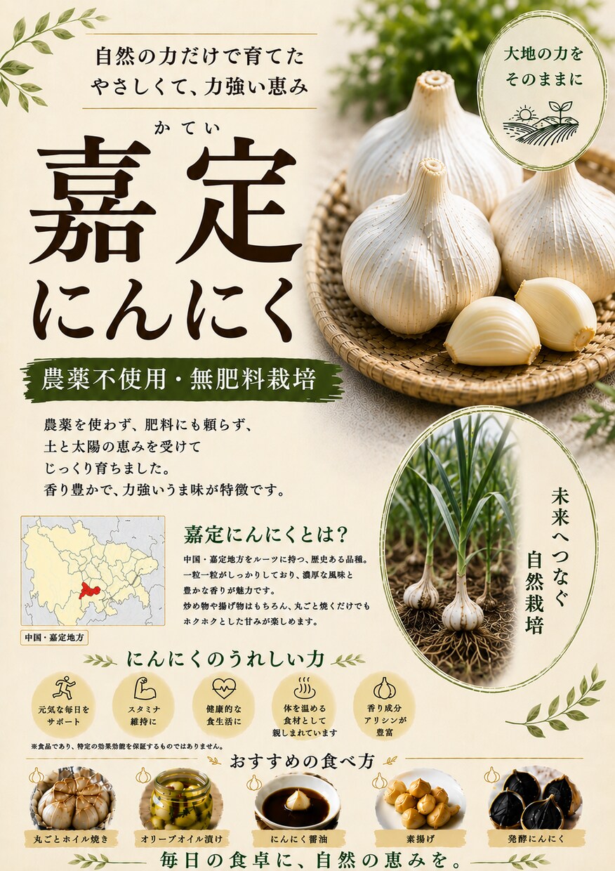 想いが伝わるチラシ・ポスター・動画編集を制作します 心に届くデザインで商品の魅力を伝えます イメージ2