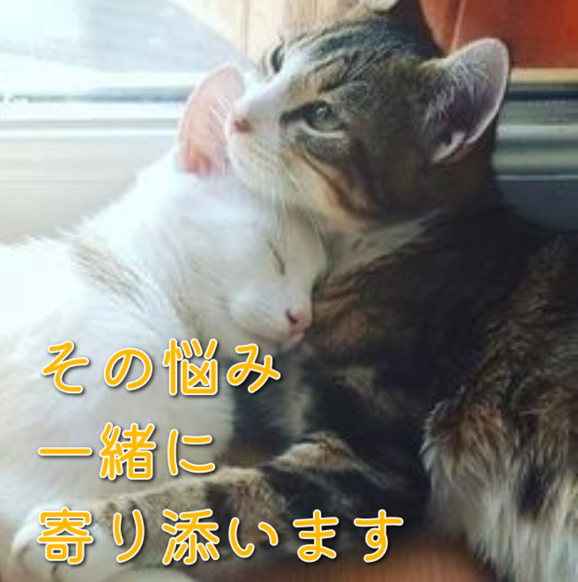 即レス１時間★隣にいるリアル感を味わえます 今話したいを今聴かせて下さい！！ イメージ7