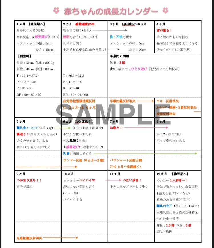母性・小児看護学の学習に役立つ資料を販売します 実習・国試対策に！妊娠〜出産〜小児の発達をまとめたカレンダー イメージ4