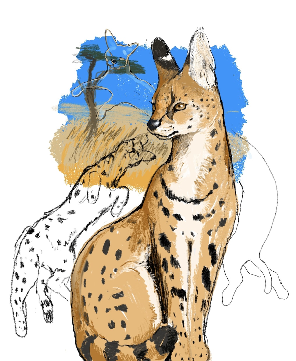 大切なペットを、温もりのあるイラストでお描きします 犬・猫・鳥・爬虫類など幅広く対応します。 イメージ1