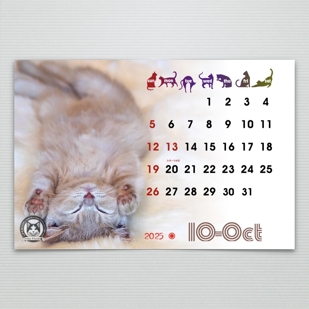 猫の愛くるしい瞬間を集めたフォトカレンダー作ります 2025年度版縁なしフル画像の卓上カレンダーで毎日を一緒に！ イメージ7