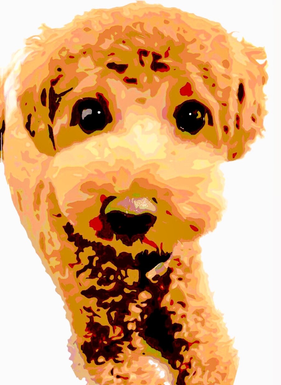 あなたの愛犬、愛猫をイラスト化します あなたのペットをそっくりそのままイラスト化します＊ イメージ3
