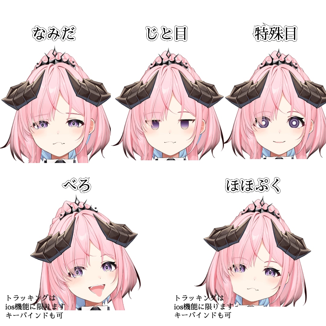 企業実績あり！高品質Live2Dモデルを制作します 最高品質の仕上がりは動画を是非ごらんください！ イメージ3