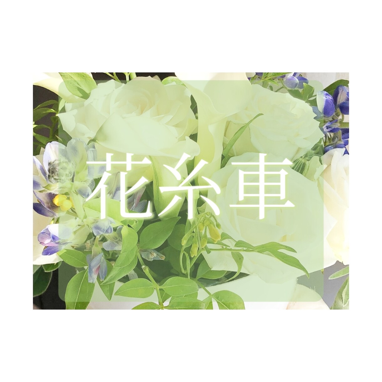 エネルギーカラーと細胞レベルで似合う色を鑑定します パーソナルカラーじゃない！細胞から輝く最強の色がある✨ イメージ10