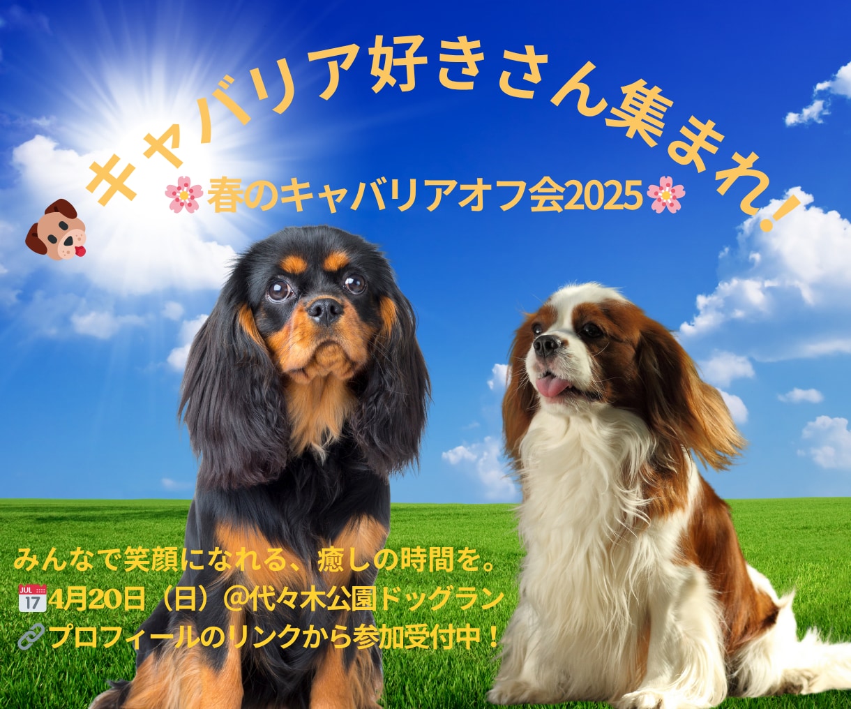 インスタ投稿・広告画像を丁寧に制作いたします 目を引くデザインで、フォロワーの目に止まる投稿広告を作ります イメージ3