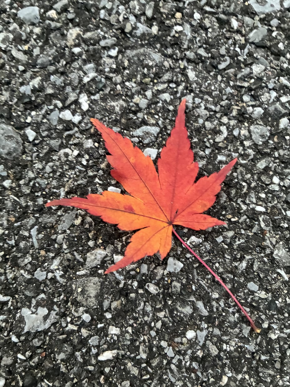 お話聞きます お悩みをききます。ご希望に応じて聞き役になります。 イメージ1
