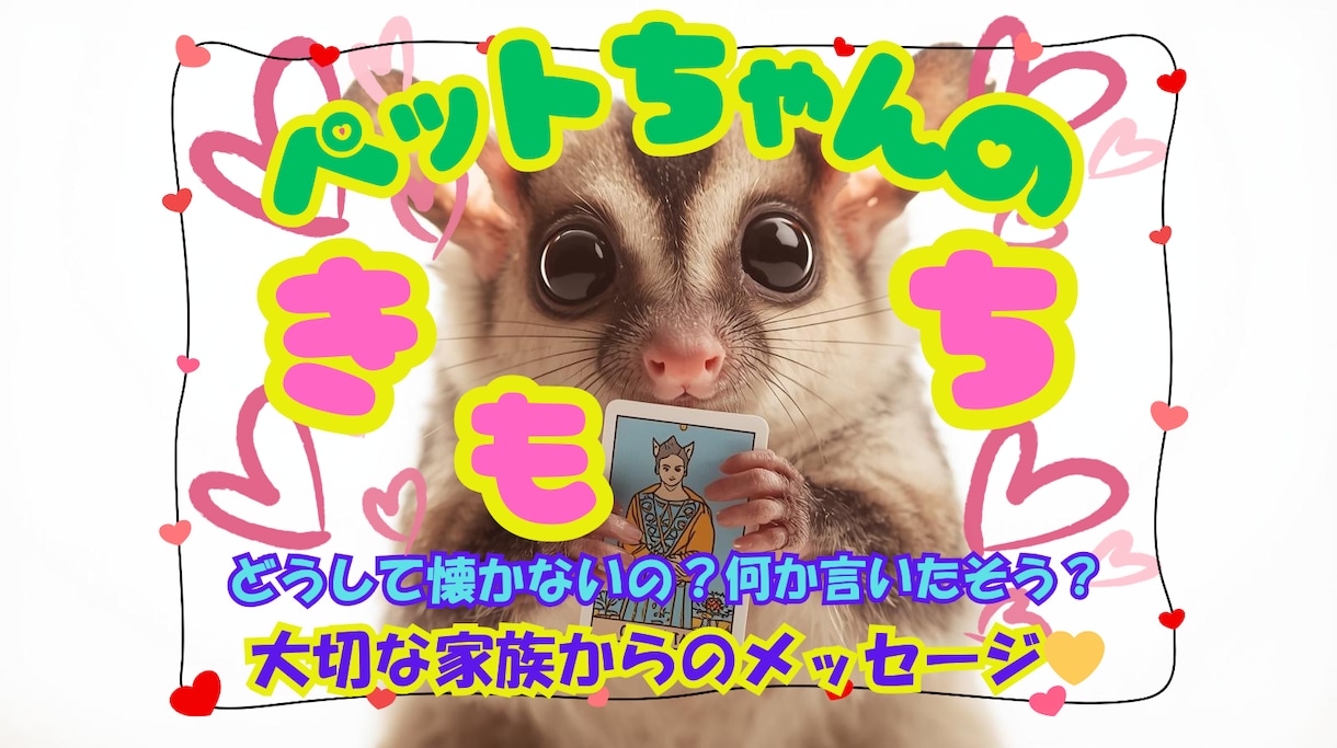大切な✨ペットちゃんからのメッセージをお伝えします もっと仲良しになるヒントを✨タロット✖霊視で教えます✨ イメージ10