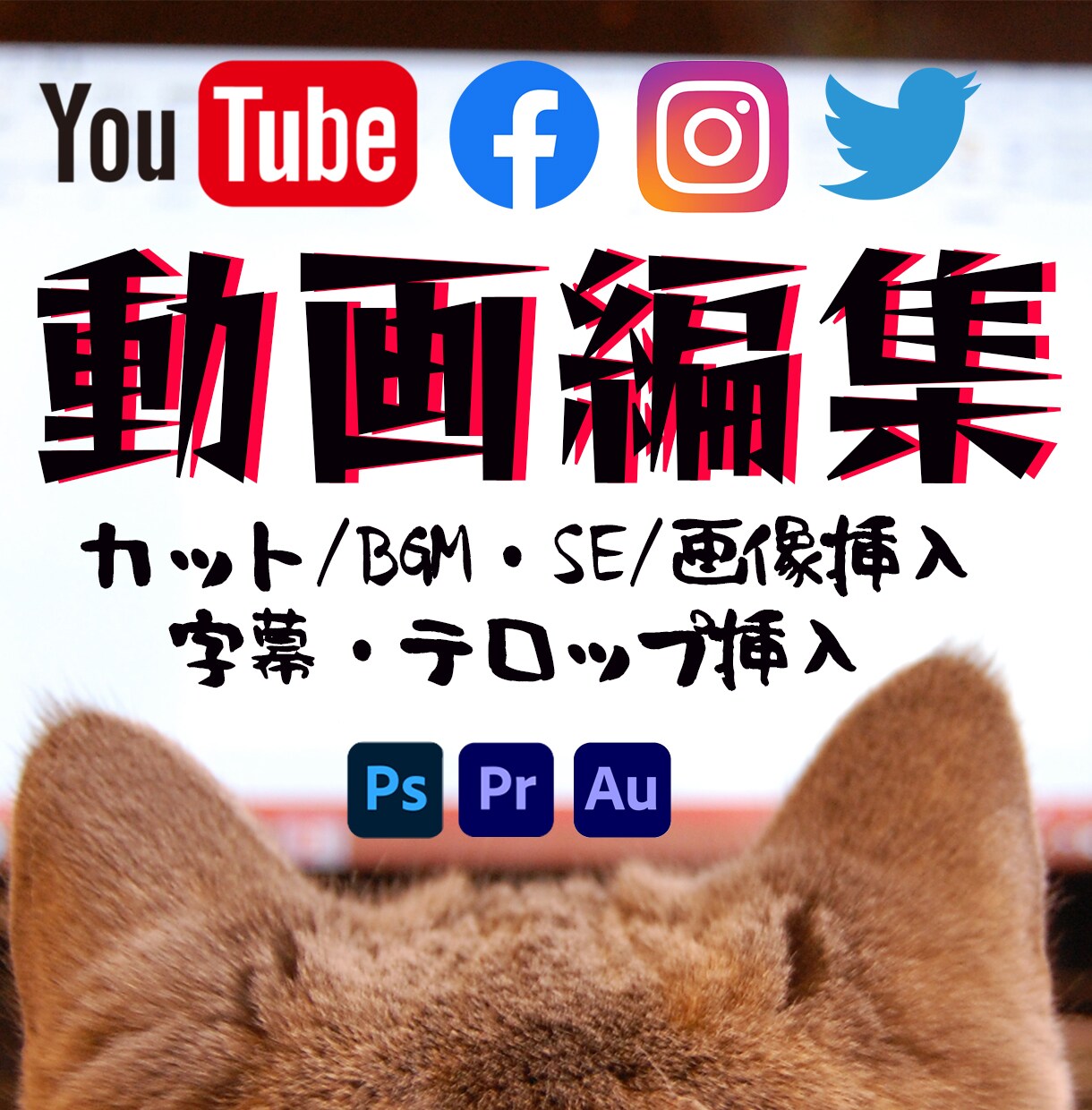 YouTube向けASMR動画丸投げ編集致します YouTubeやニコニコ向けのASMR動画編集致します☆ イメージ1