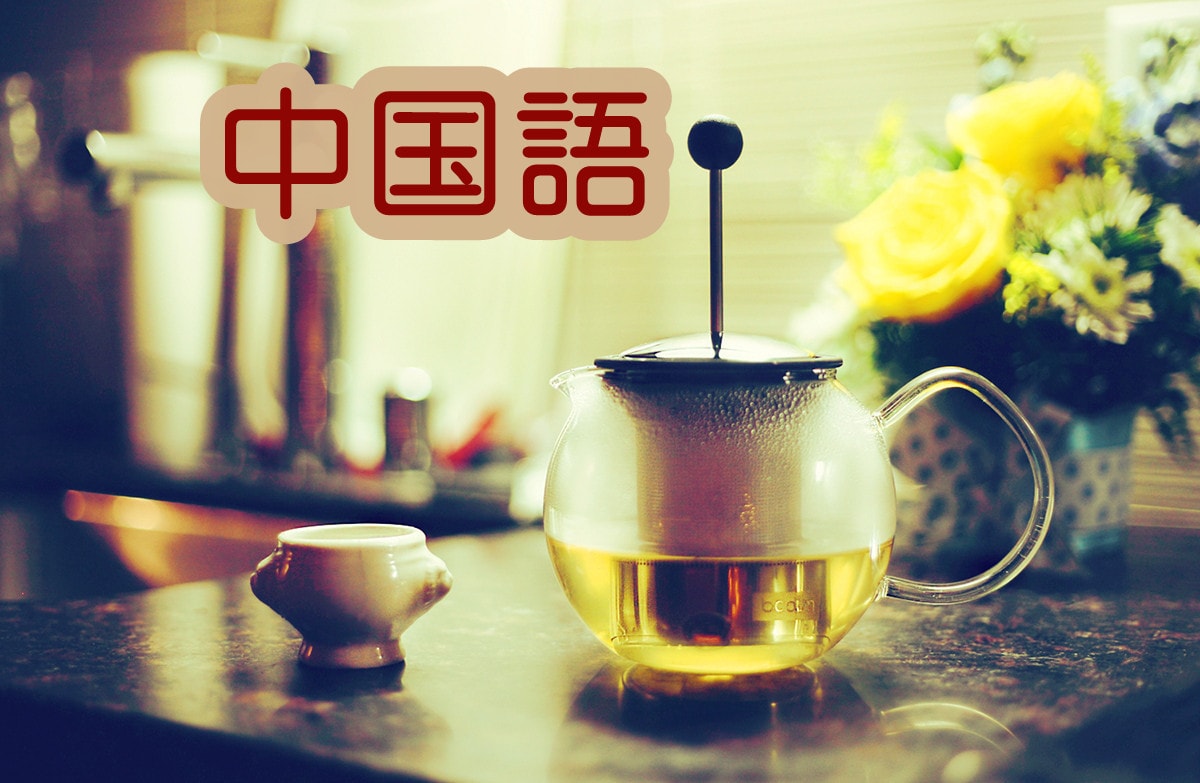 初心者・簡単な中国語の会話の練習のサポートをします 会話の練習に・発音が苦手だと思っている方へ！ イメージ5