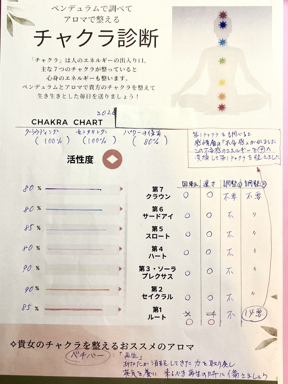ペンデュラムでチャクラを「見える化」し調整します チャクラの活性度、速度、エネルギー状態が数字で分かる診断図 イメージ2