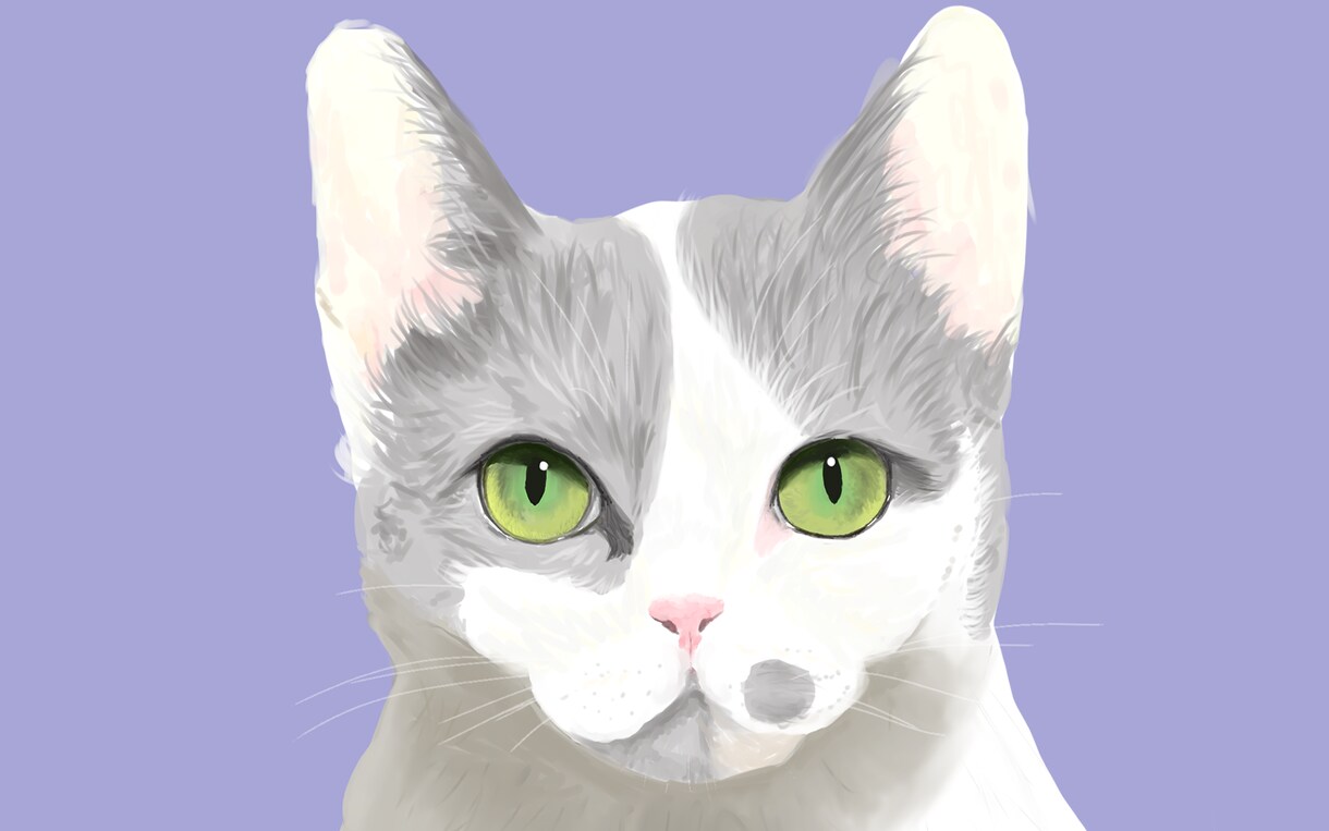 皆さんの愛しいペットの写真をイラストにします どんなタッチの絵か、相談可能です！お直しは3回まで無料です！ イメージ1