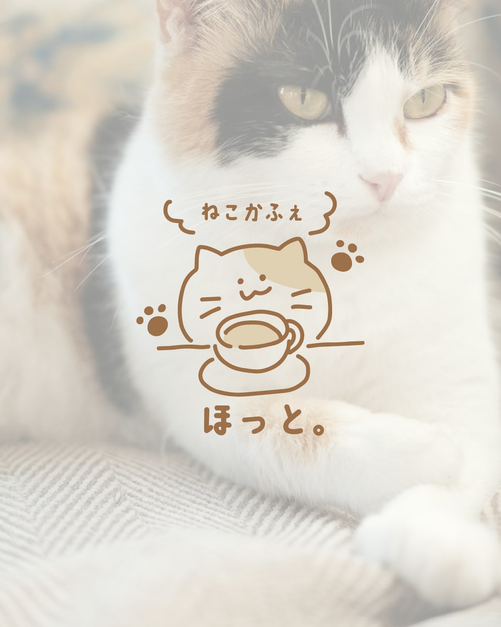 AIでは作れない、唯一無二の手書きロゴを作ります "ホッと心が安心するような、優しい手書きロゴ。" イメージ6
