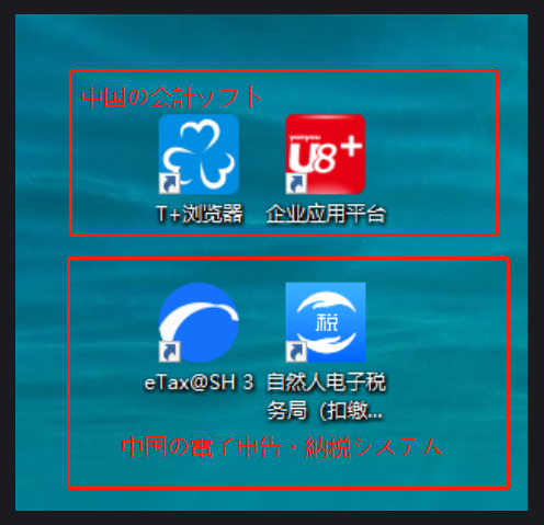 中国子会社の帳簿を中国税制の専門家がチェックします ビデオチャットでの報告会と日本語での財務諸表が付いています イメージ3