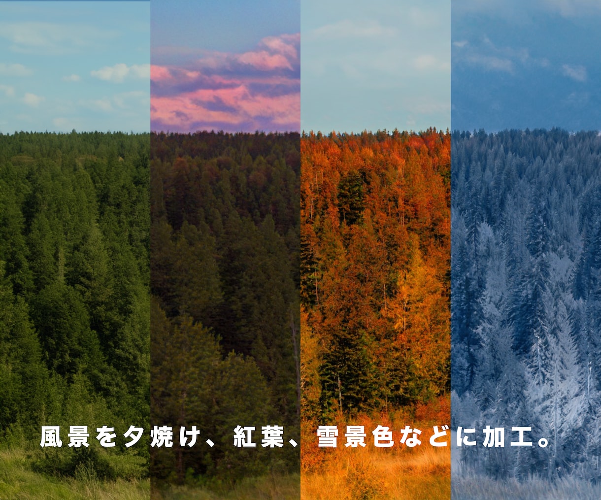 特殊な専門技術であなたの画像をパワーアップさせます SNS、無劣化サイズアップ、特殊加工、時間季節変更 イメージ2