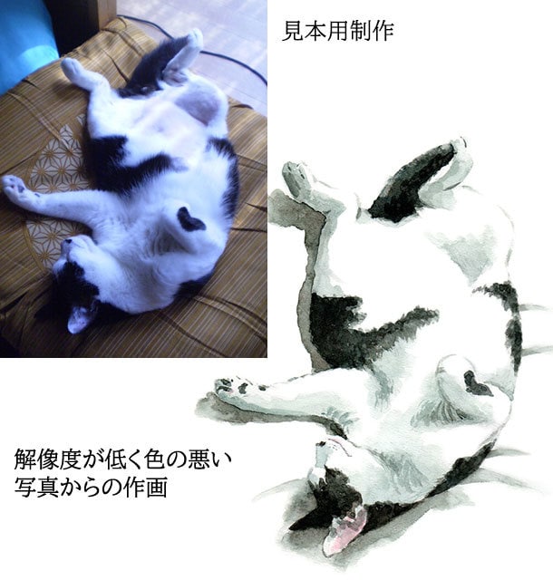 画質の良くない写真からでもペット肖像画描きます 昔一緒に暮らしたあの子の思い出を色鮮やかな絵に イメージ4