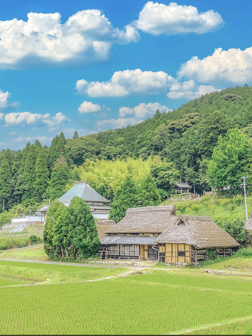 あなたに寄り添います いつでも何でも話してください！ イメージ1