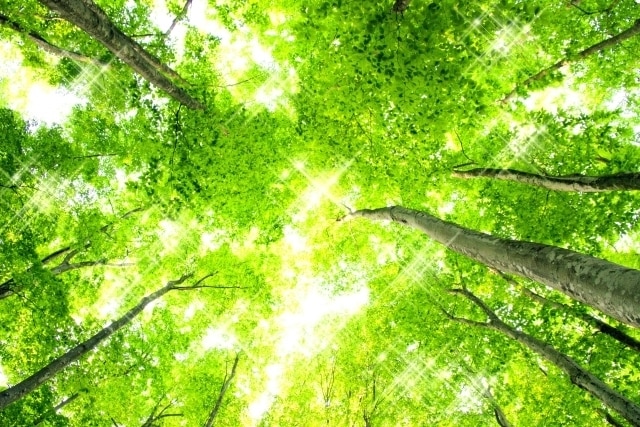 人生観。変えます 僕が独自に見つけた｢人生を最大限楽しむ｣方法を教えます。 イメージ1