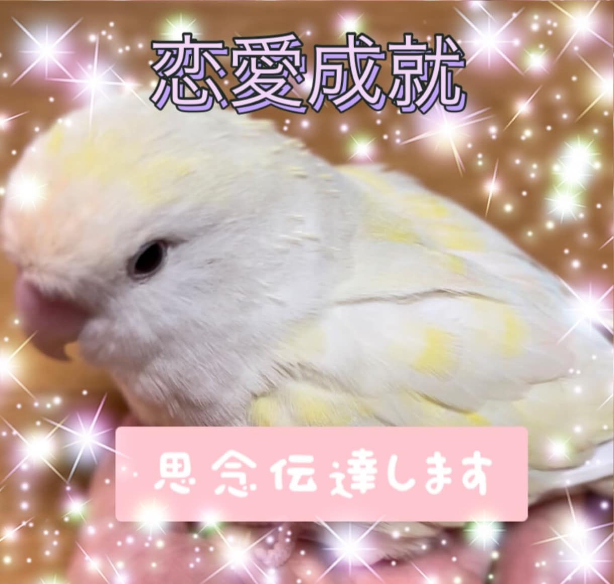 天使の力で思念伝達します あなたの気持ちをお相手の潜在意識に伝えます イメージ1