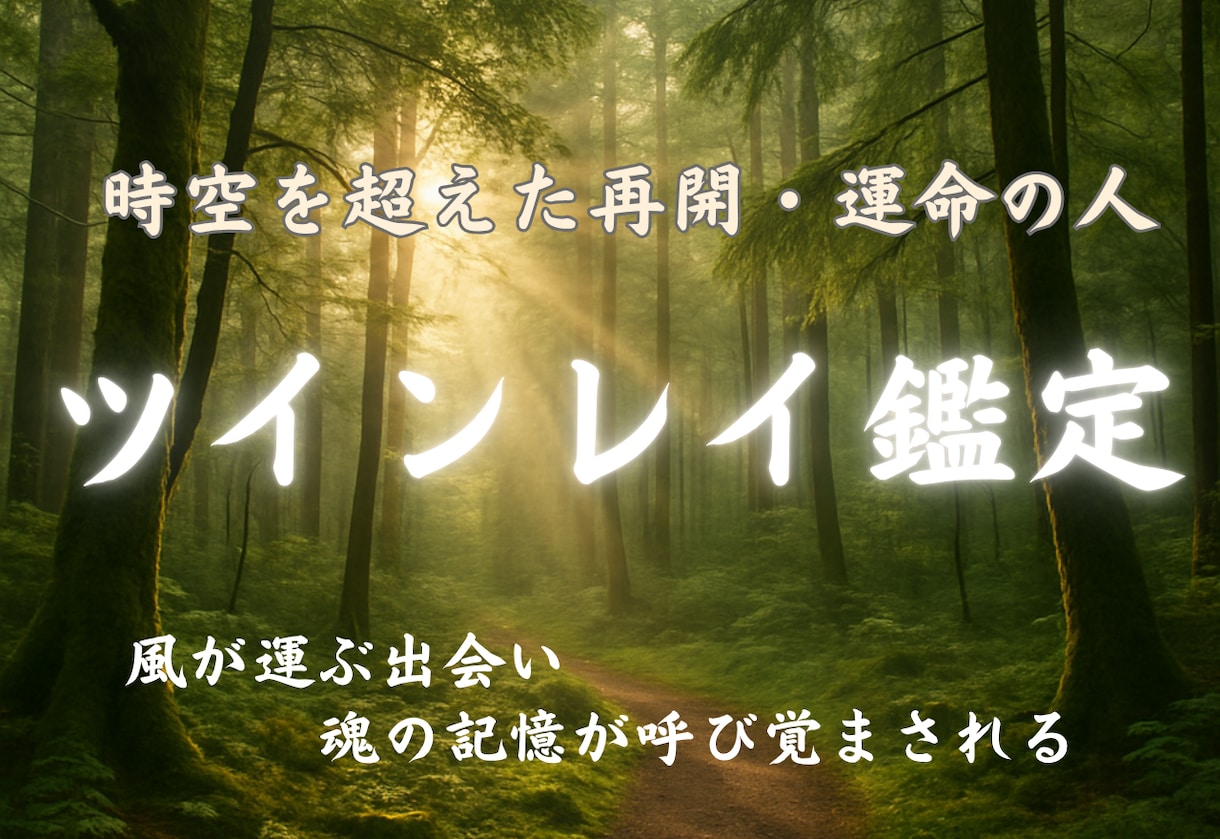 ツインレイ霊道霊視で、魂のつながり見極めます お相手との相性とご縁を霊視し、結ばれる未来へと整えます。 イメージ1