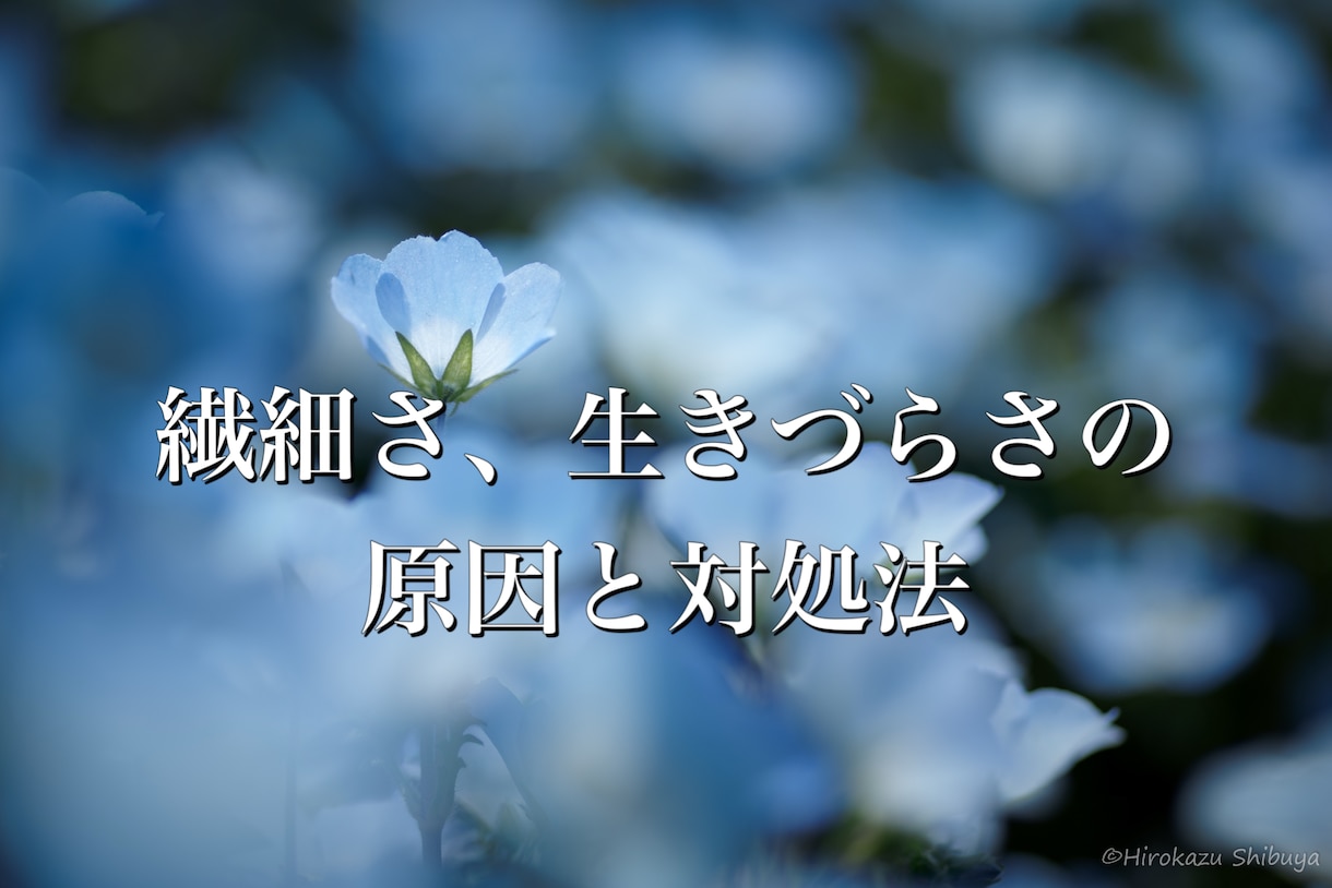 HSP/エンパス あなたの気質と対処法を伝えます 理解されない、一人で抱え込んできた生きづらさを強みに変えます イメージ1