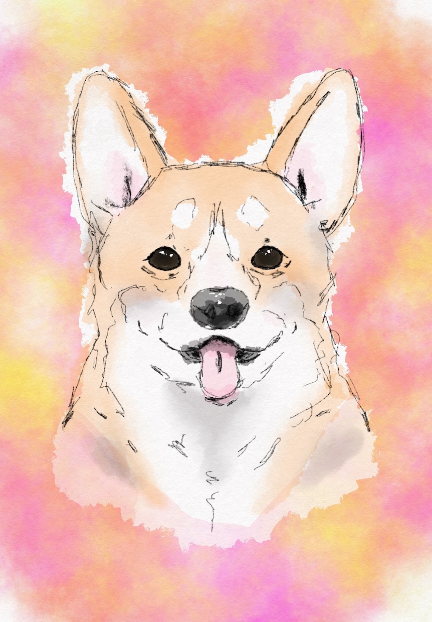 水彩風のやさしいタッチでペットの似顔絵を描きます ふんわり優しい線画で、大切な家族をイラストとして残します。 イメージ1