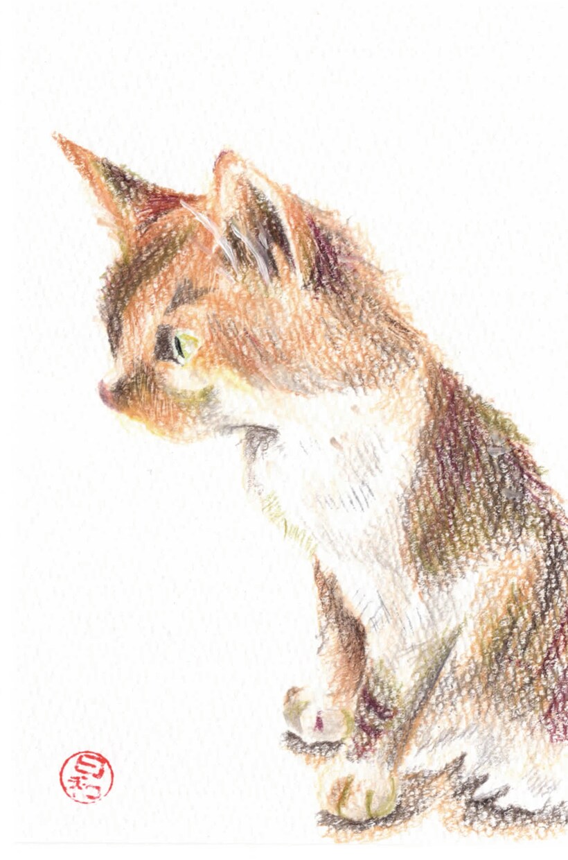 あなたのペットの色鉛筆画描きます あなたのペットの絵をアイコンにしたり飾ったりしませんか？ イメージ3