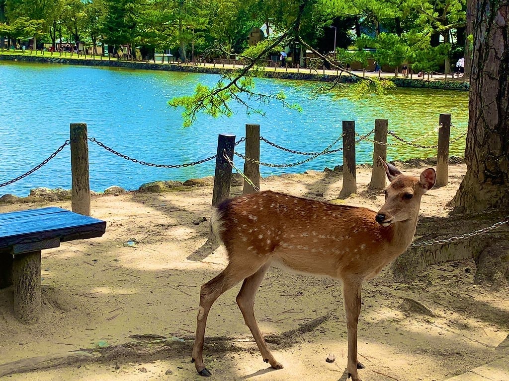 使い道は自由！【人を魅せる旅行写真】お届けします 写真販売経験有。イメージに合わせた加工まで対応します★ イメージ2