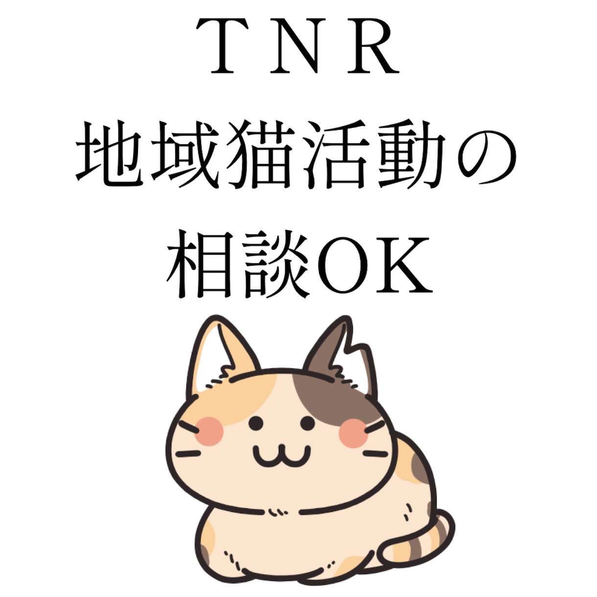 TNRのやり方を経験者が教えます 動物看護師が丁寧にアドバイスします イメージ1