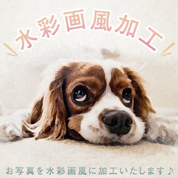 下限価格！写真をオシャレな水彩画風に加工いたします 文字入れOK！ナチュラルな水彩イラスト風にお写真を加工します イメージ1