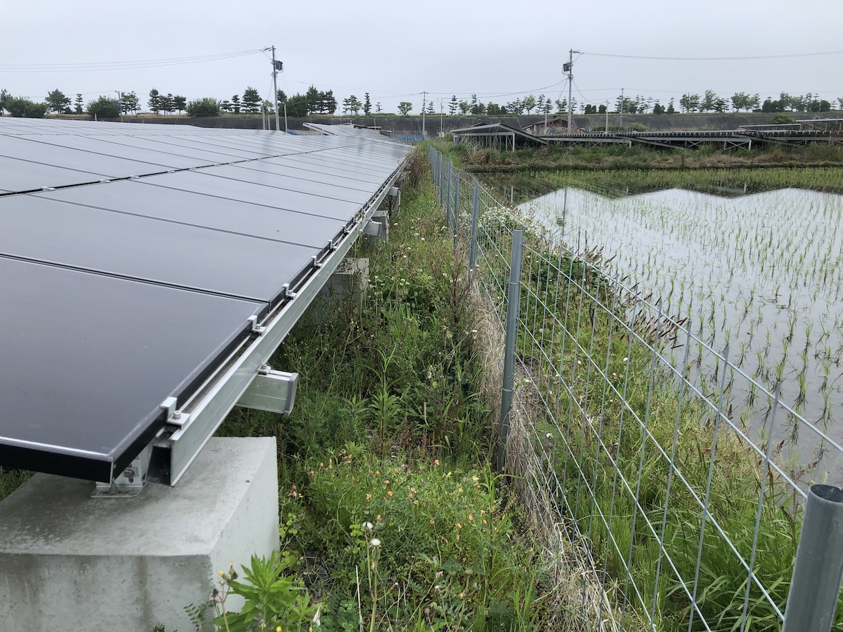 産業用低圧太陽光発電所の除草作業を行います 年3回、都度写真報告付きなので安心です イメージ2