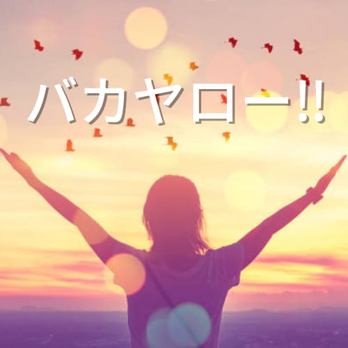 バカヤローだけでもすっきります 嫌なことはその日のうちに開放して！一言言ってすっきりして！ イメージ1
