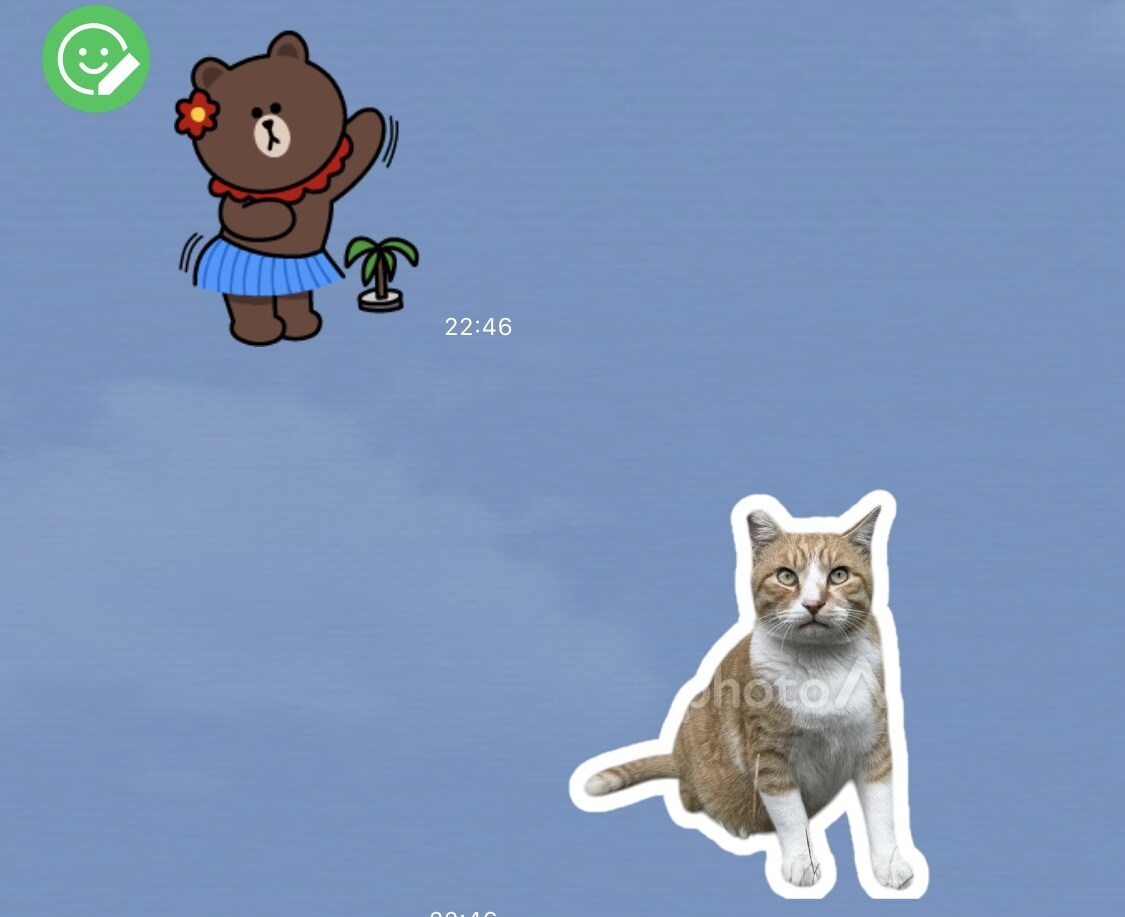 40枚1000円★写真をLINE風スタンプにします 写真を送るだけ！2日以内納品でLINEスタンプ風に加工 イメージ4