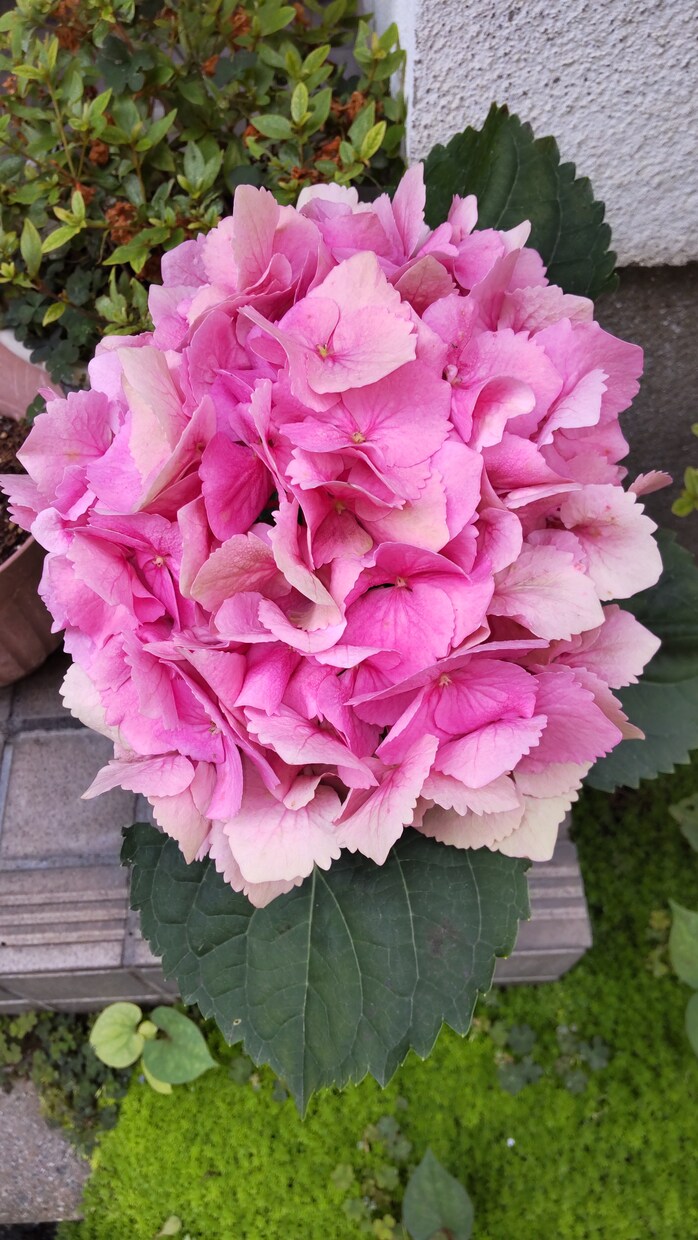 秘密切ない気持ち✨複雑恋愛✨否定批判せず聞きします 5年片思い✨事実婚の私に何でも話して下さいあなたに寄添います イメージ3
