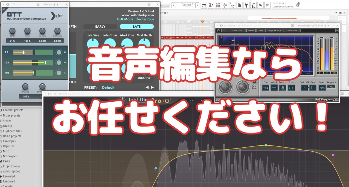 即日対応！音声編集何でも承ります ピッチ補正、タイミング補正、ノイズ除去等何でもご相談下さい！ イメージ1