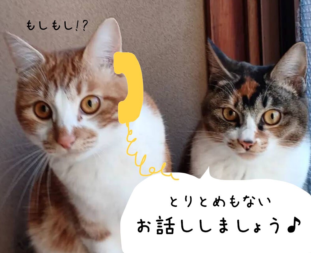 些細な事でOK！人恋しい時のお話し相手になります 日々の出来事　日頃の愚痴　何でもいいよ～！ イメージ1