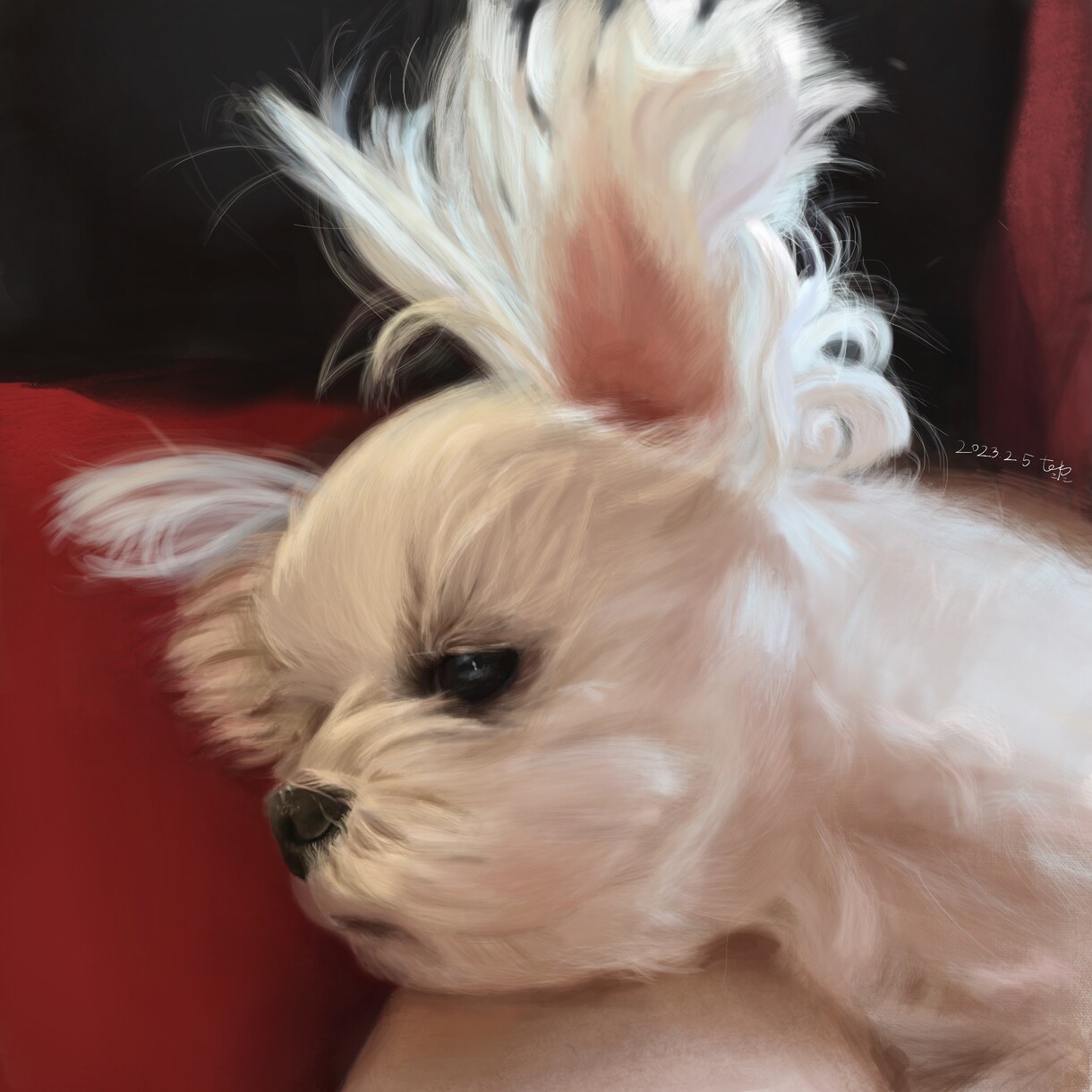 ペットのリアルな似顔絵を描きます iPadでリアルなデジタル絵を提供します。 イメージ6