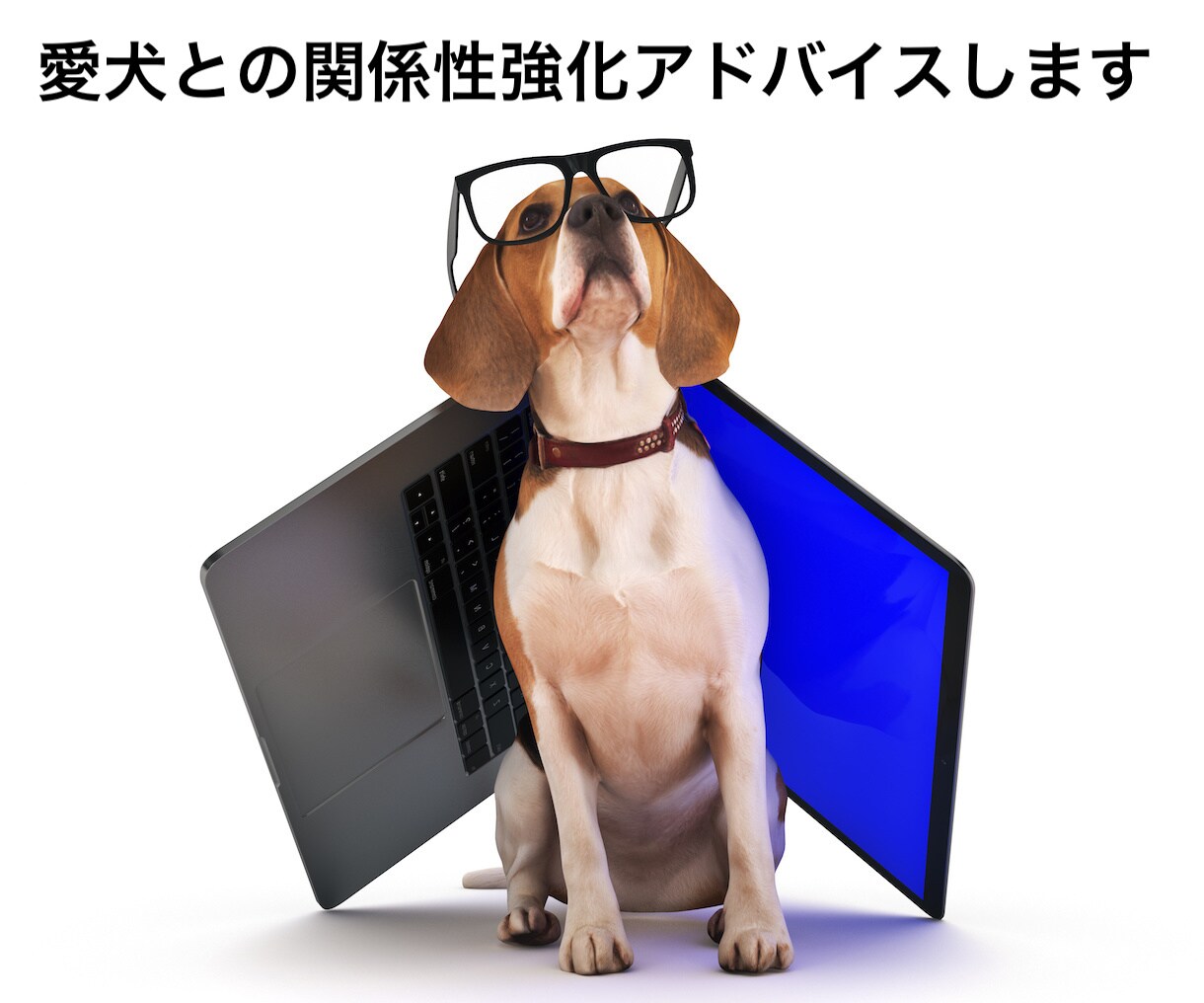 電話で愛犬との関係性強化アドバイスします 飼い主の思いと、愛犬の受け取り方は一致していますか？ イメージ1