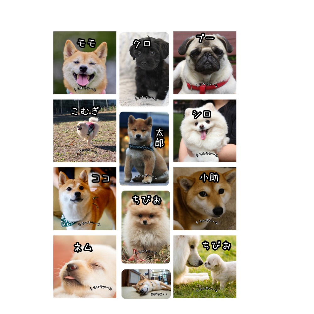 写真からうちの子オリジナルシールデザイン作ります ☆ペットやお子様の写真から世界に一つのシール！ イメージ2
