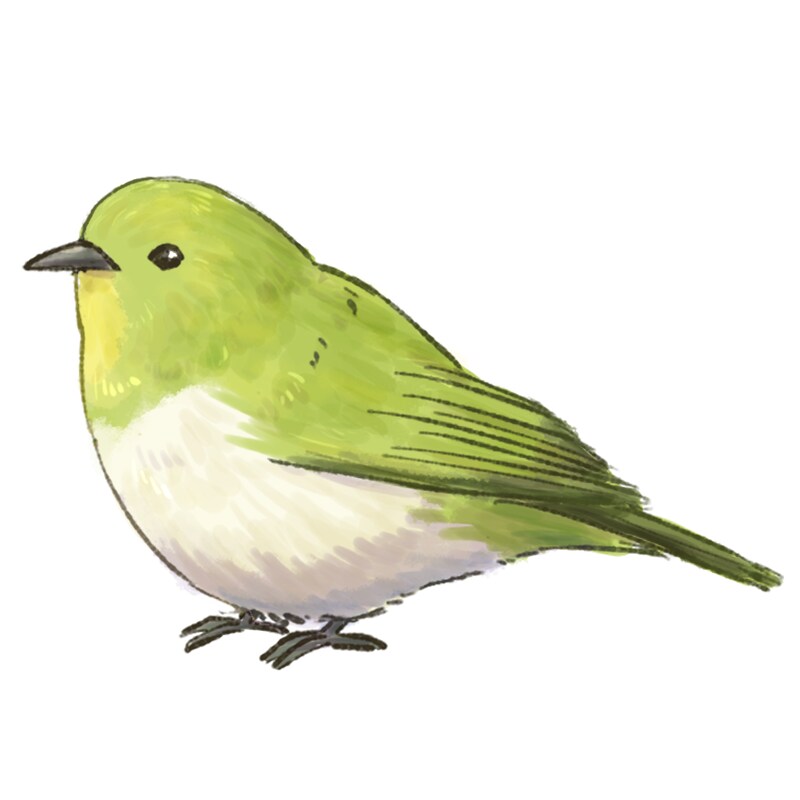 表情豊かなかわいい動物描きます ペットの似顔絵も作成可能です！ イメージ7