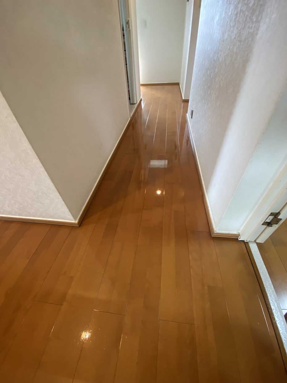 家庭内のお掃除方法伝授します 綺麗なお家で快適な毎日！プロの技を自分のものに！ イメージ4