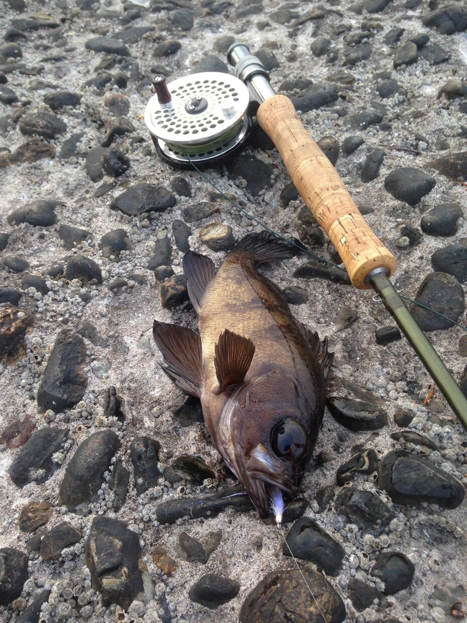 フライ 毛針の巻き方教えます 経験則で対象魚別のフライパターンの提案 イメージ6