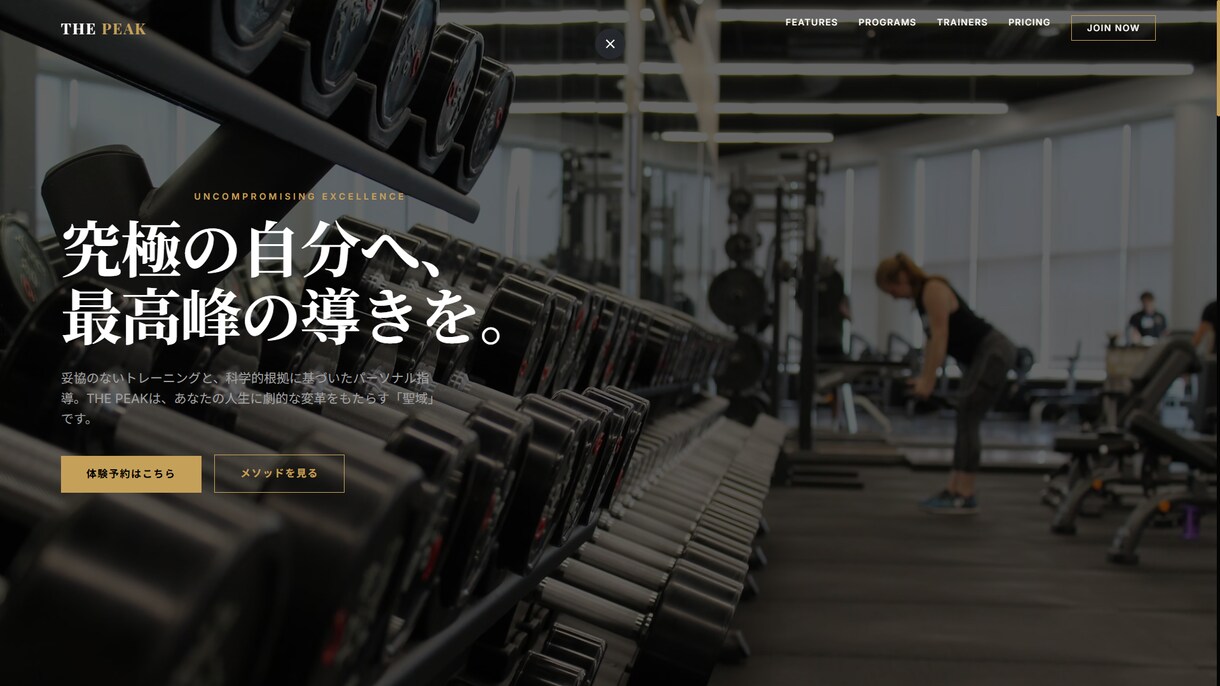 高品質なWebサイトを制作します 修正無制限！あなたのイメージ通りにします イメージ1