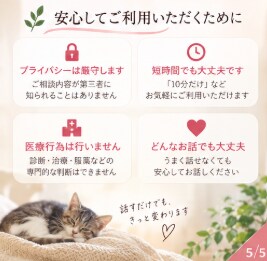 HSP・生きづらさのお悩みをお聴きします 話すことで心をほどき、思考を一緒に整理します イメージ5