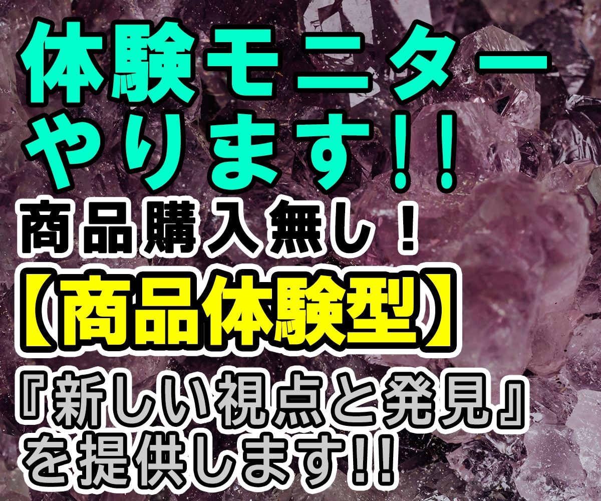 商品改良のお手伝い！サービス体験モニター致します 商品を体験➡感想｜改善点｜提案｜をお届け。実験台もやります イメージ1