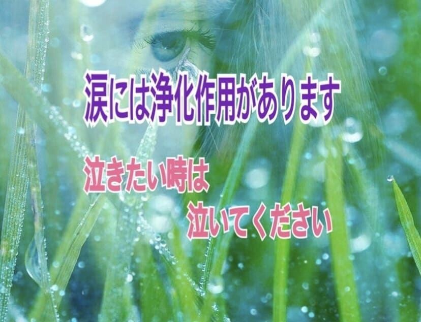 人生の苦悩を熟知したカウンセラーが痛みを受止めます /心に寄り添う「掛け替えのない大切な貴方」だけの命の電話相談 イメージ2